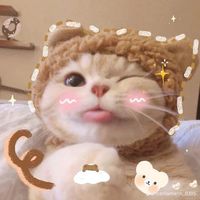 nhạc nền - Hồng phượng