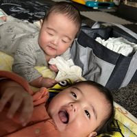ars524twins