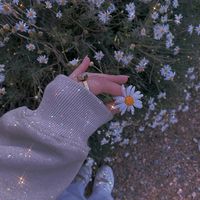 pamela.yessenia.h