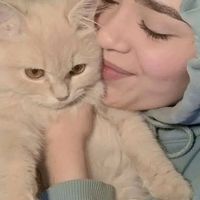 lya.a5