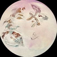 オリジナル楽曲 - Ponポン