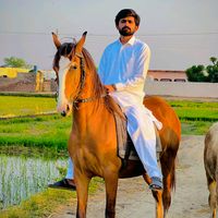 usmaan_rai