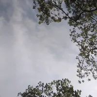 original sound - the_boys324