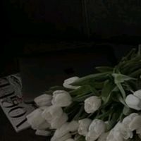 user23810867372273