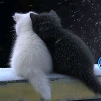 yihjjj6