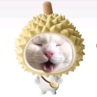 suara asli - queennze