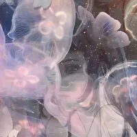 original sound - stfuyoustupiddd