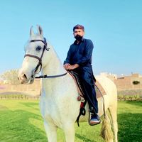 usmancheema79