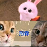tieutinhthao
