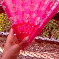 capoise.1