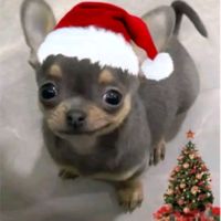 clauramirz1
