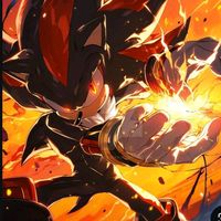 shadow.the.hedgehog48