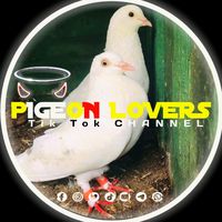 pigeon_lovers_2025