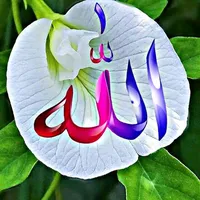 original sound - shahneaj3