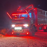 eelprincipitodarwingome7