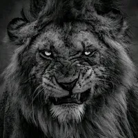 original sound - ieneskrb