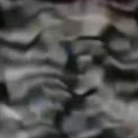 suara asli - Xelyn🥰