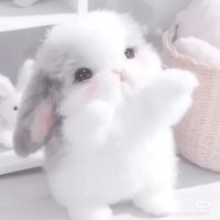 オリジナル楽曲 - 🥀머나🥀𓈒 𓂂𓏸