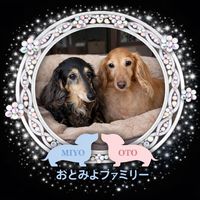 oto.miyo