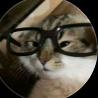 callmepyaegyi1