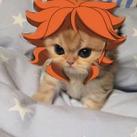 เสียงต้นฉบับ - ☀️Amaemiya Taiyou☀️