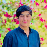 sameerbaloch7768
