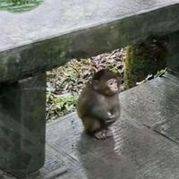 frogkn0wj