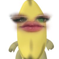 lnapatpor