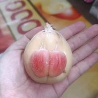 suara asli - lovelyn77