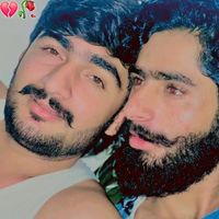 raiz6803