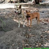 eqpmeninos.damadrugada04