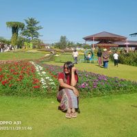 khinchothin5