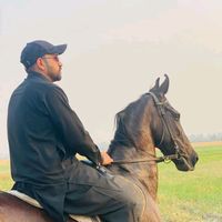 uzairnawabgujjar