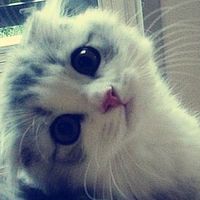 suara asli - kiya_03