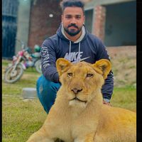 taha677