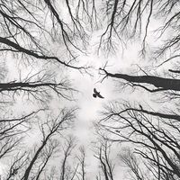 suara asli - NyeŊUTSU