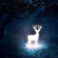 nhạc nền - BunBun 🦌💙