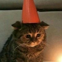 _dalliance_