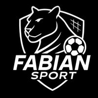fabiansportsgdl.com