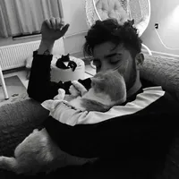 original sound - n5shood