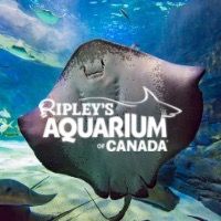 ripleysaquariumcanada