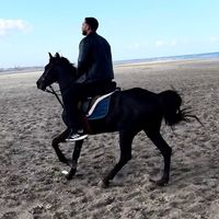 yousefabari