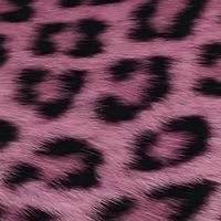 オリジナル楽曲 - 💜毒舌ちゃん💜