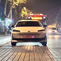 eltekin311