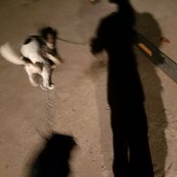 night925251._