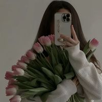 bbhji3344
