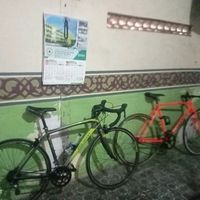 suara asli - user2135620222349