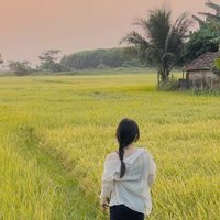 nhạc nền - Thuỳ Linh 🌷