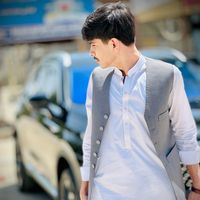 anas_msd12