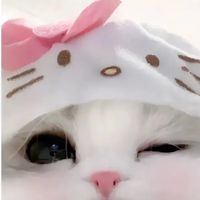 nuna.sms